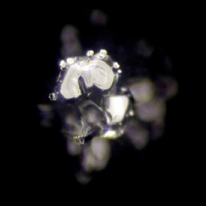 Altıgen Olmayan Su Kristali