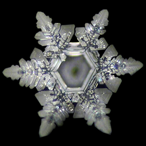 Optimal Altıgen Su Kristali