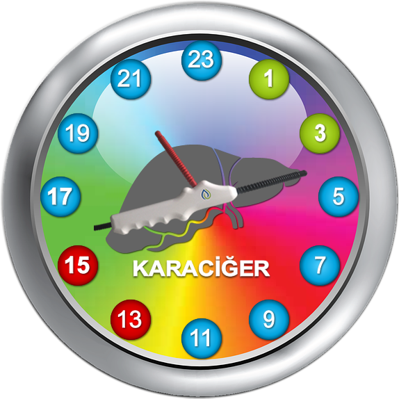 TESLA Osilatörü - Enerji uygulaması