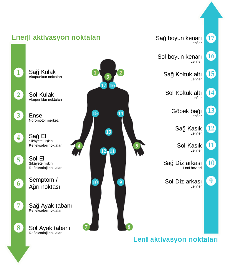 TESLA Osilatörü - Enerji uygulaması