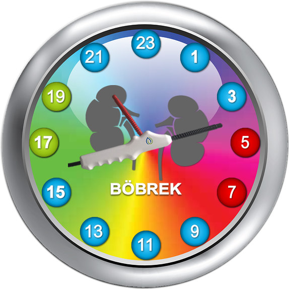TESLA Osilatörü - Enerji uygulaması